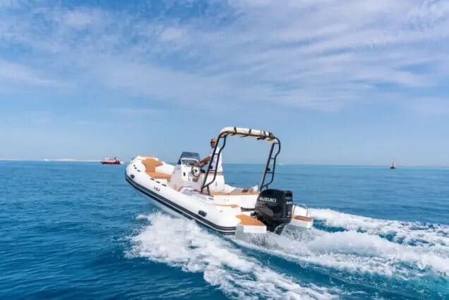 Ozirea Island Speedboat Tours — photo 4